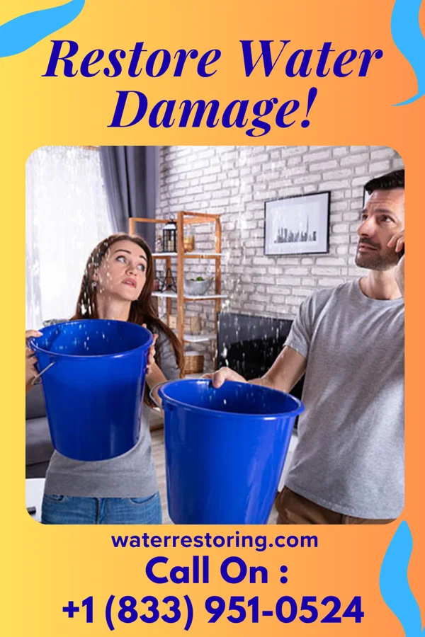 water restoration Solid Water Removal LLC The Acreage
