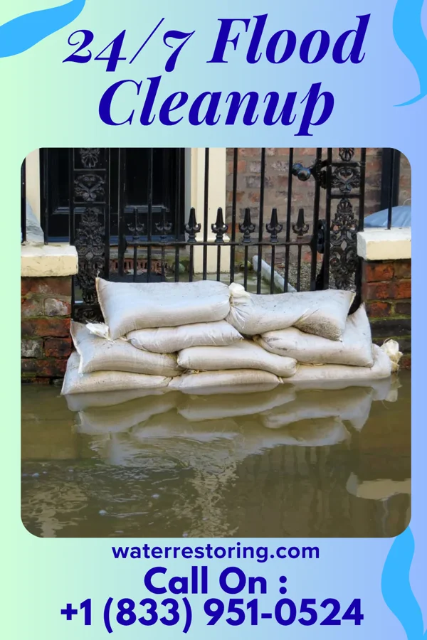 24/7 Flood Cleanup in The Acreage, FL