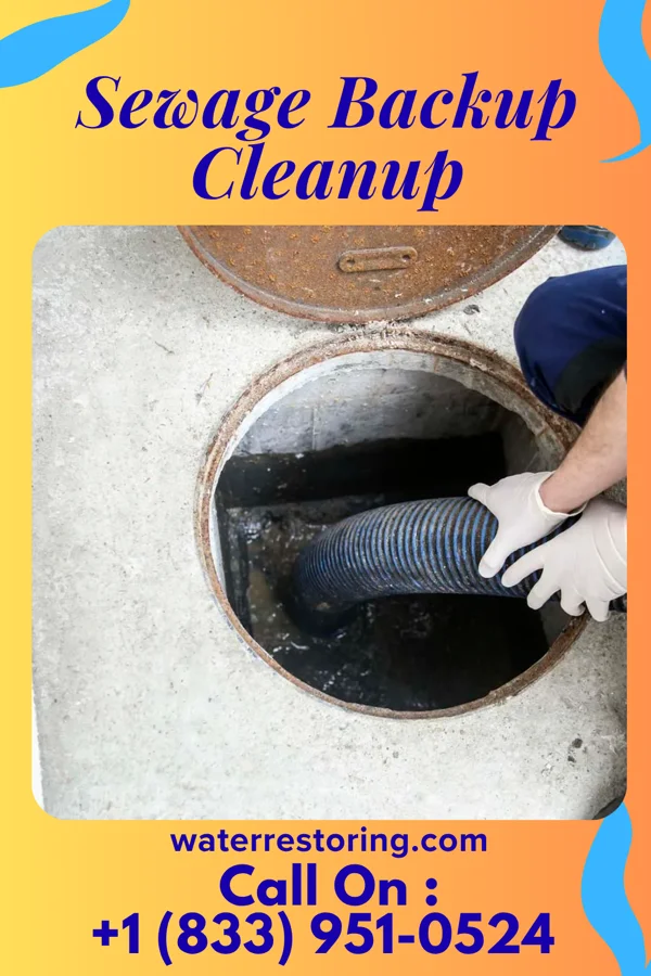 Sewage Backup Cleanup in The Acreage, FL